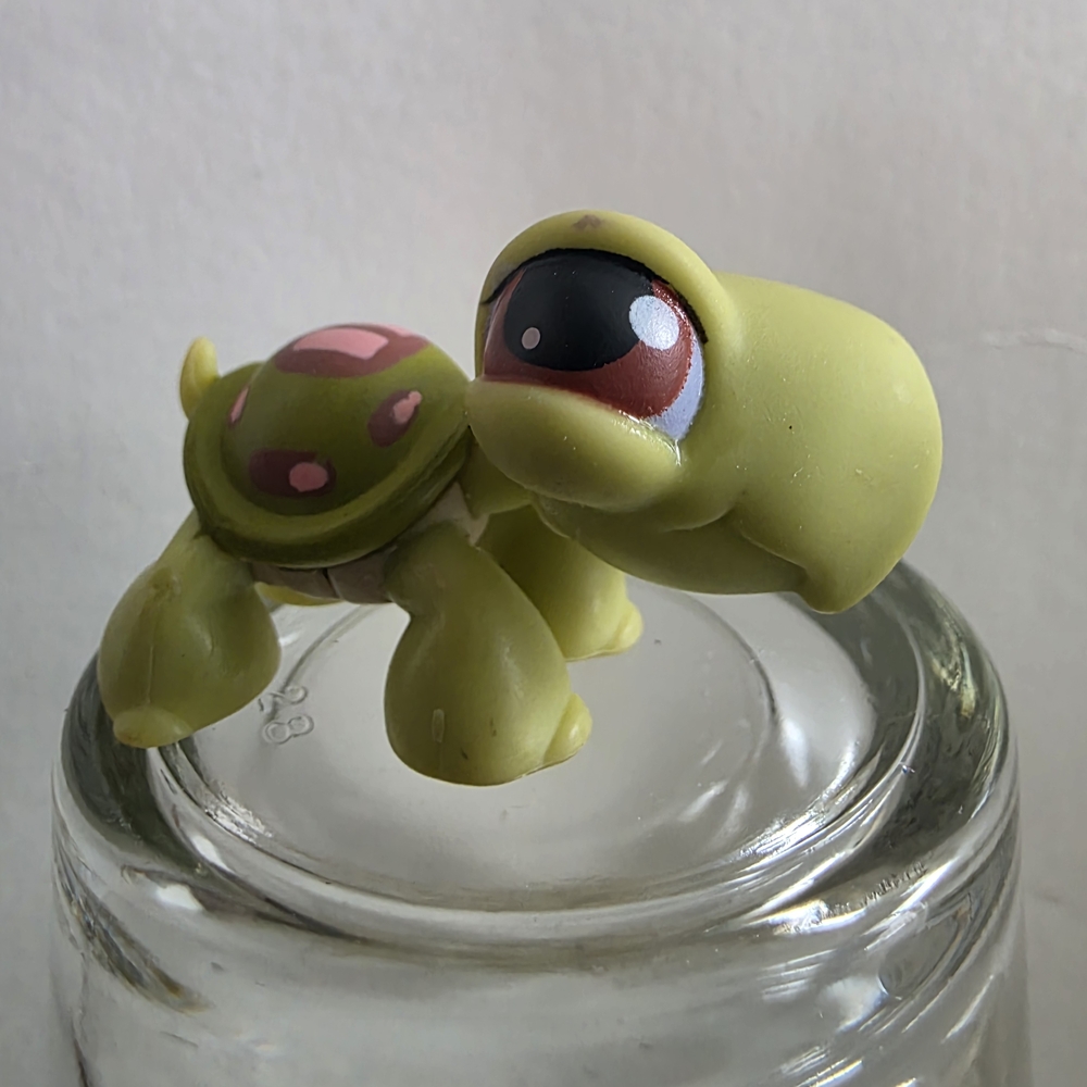 3/$22 TURTLE #7 - Authentic Littlest Pet Shop - Hasbro LPS